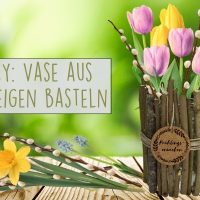 DIY: Vase aus Zweigen basteln