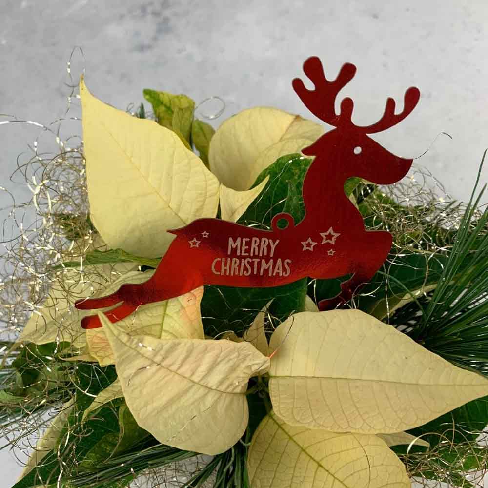 Hang tag "Merry Christmas" Reindeer - glossy